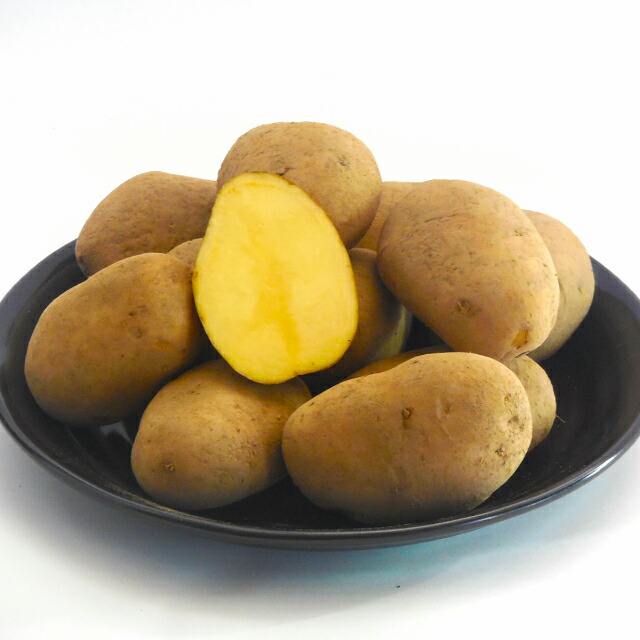 楽天市場 送料無料 北海道産 じゃがいも 北海こがね Lサイズ10kg おすすめ みなみ青果