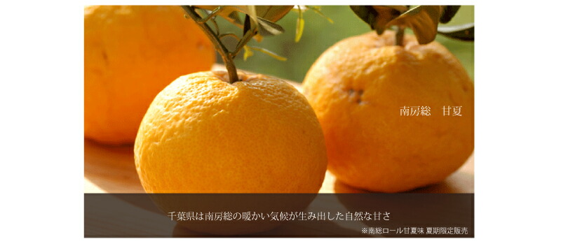 季節限定品 見波亭 夏ギフト プレゼント ロールケーキ お中元 南総ロール おすすめ お取り寄せ 洋菓子 甘夏びわ味 スイーツ ギフト バームクーヘン