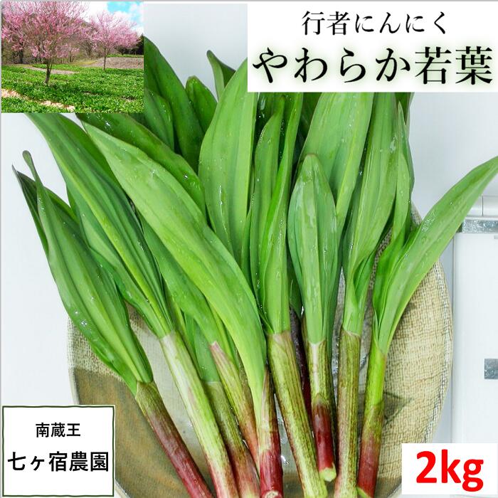 【楽天市場】【！ただ今出荷中！】1kg【行者にんにく 産地直送