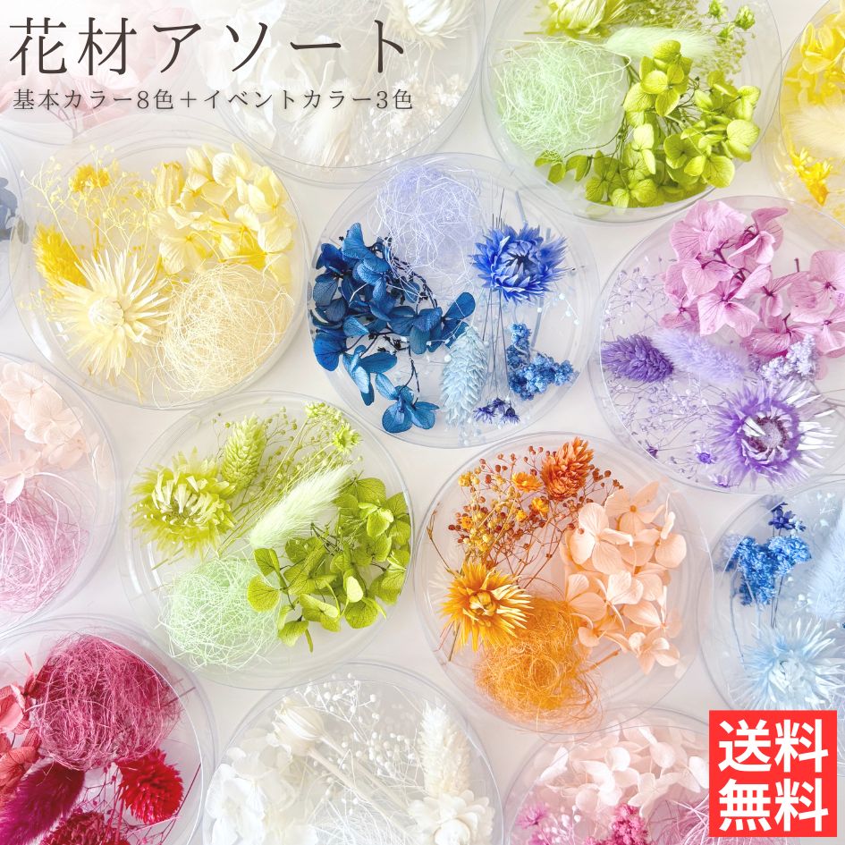 ✴︎琉球プリザモス✴︎ カラーサンプル｛パステルミックスセット ｝ハーバリウム 楽天市場】大地農園 チーゼルフラワー 全2色 【 ドライフラワー