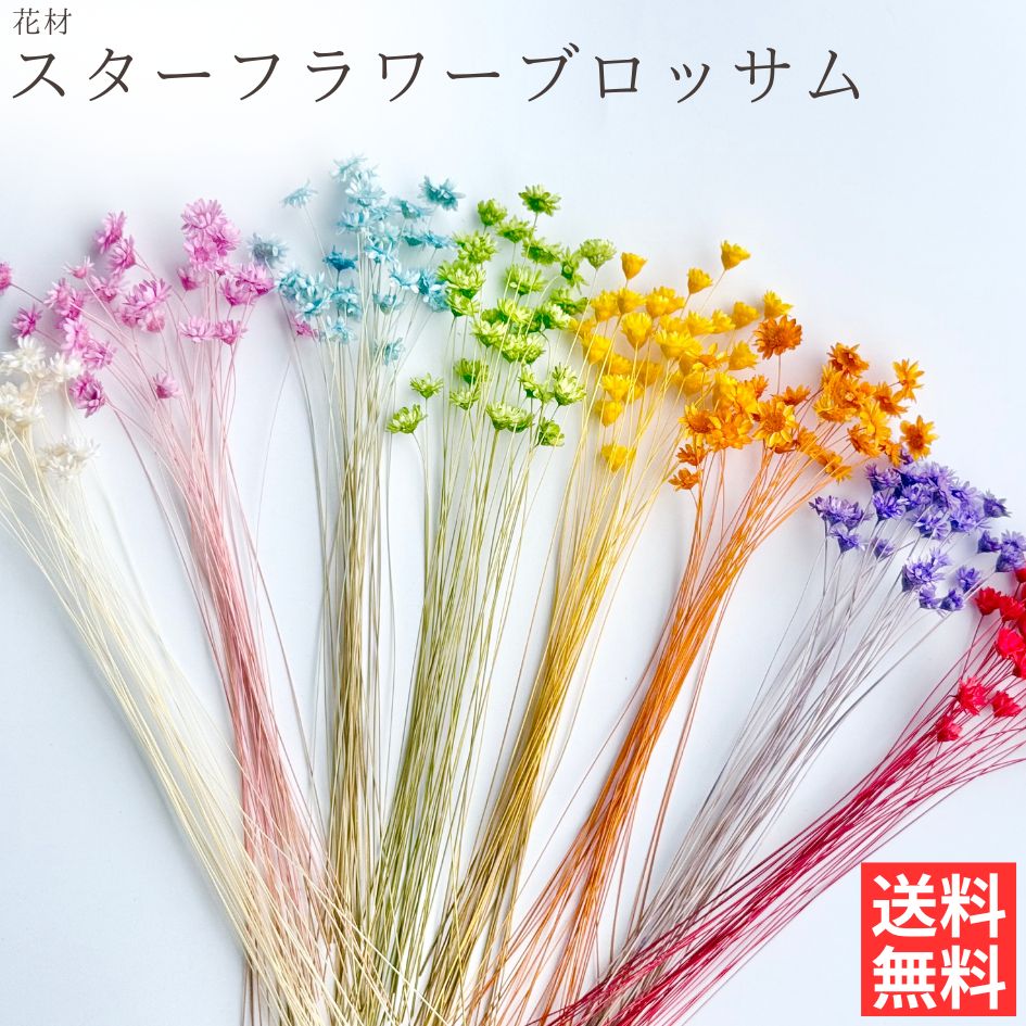 ひなひまページ　スターフラワーピンク ひなひまページ スターフラワーピンク ひなひまページ スター