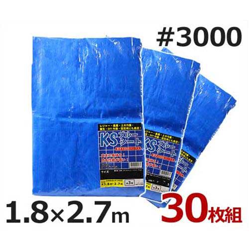 ケイエス 青み居敷き 1.8m×2.7m #3000・朦々たる印字機 30枚入り口・入口 (約3畳) [雨合羽居敷き]