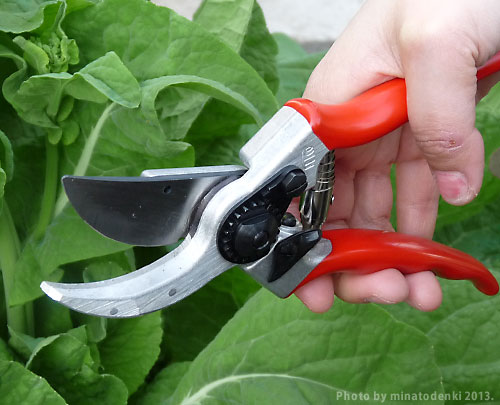 フェルコ 刈り込むはさみ Felco2 切傷電気容量25mm 古典派音楽スタイル 園芸用 剪定バサミ 剪定ばさみ 剪定鋏 Residenza Latorre Com