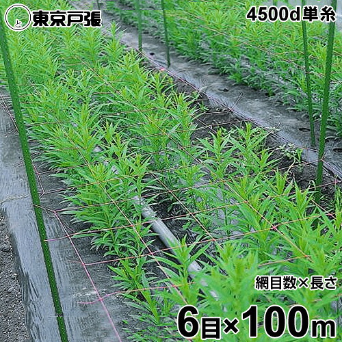 フラワーネット 4500d×1本・単糸 6目×長さ100m