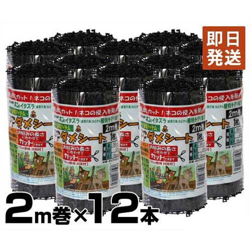 楽天市場 ネコよけ対策マット ここダメシート ブラック 2m巻 12本 第一ビニール 猫よけ対策 猫よけグッズ 野良猫対策 ミナト電機工業