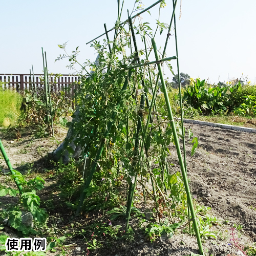 200本 支柱 直径 8mm×0.9ｍ イボ竹 園芸 菜園 シンセイ シN 個人宅配送