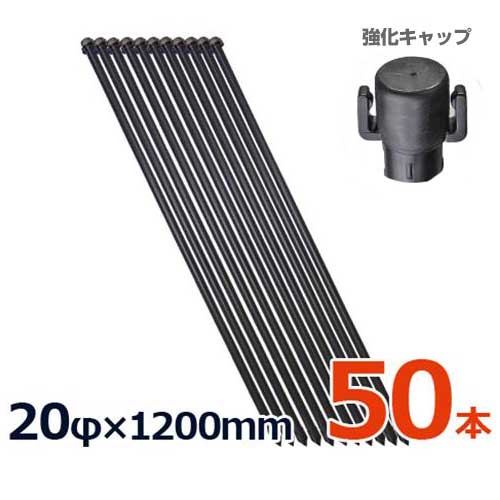 シンセイ 防獣杭 20φ×1200粍 50本仕掛ける (イボ付) [鋼管 農竹 イボ竹 園芸用拠りどころ]