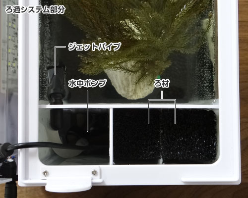 楽天市場 取扱終了 ゼンスイ 小型7l水槽 Besty ベスティ ガラス仕様 淡水 海水両用 熱帯魚 アクアリウム ミナト電機工業