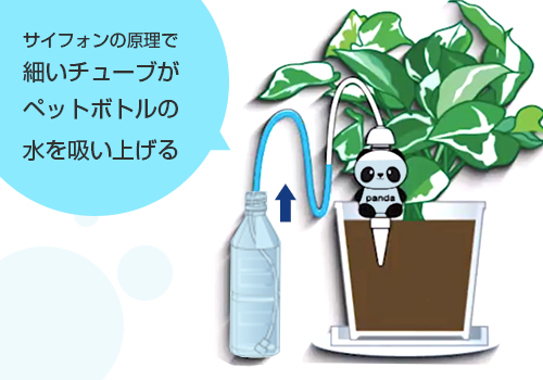 楽天市場 マルハチ 自動給水器 水やり当番 パンダちゃん マルハチ産業 ダリヤ 水遣り ミナト電機工業