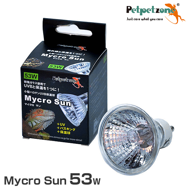 SOLAR RAPTOR UVマーキュリーランプ100W Amazon.co.jp: Zensui Solar Raptor Mercury Lamp 100W : Pet