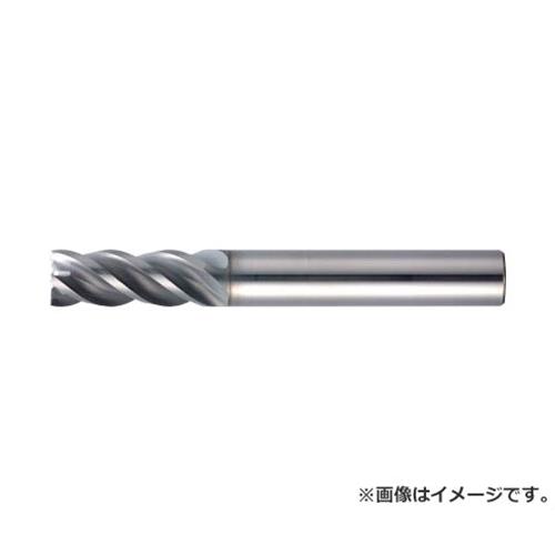 MOLDINO 年代SUSマルチEPSM4040-PN EPSM4040PN [EPSM4040-PN][r20][s9-020]