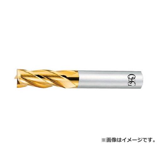 OSG ハイスエンドミル EXTINEMS30 [r20][s9-030]｜ミナトワークス