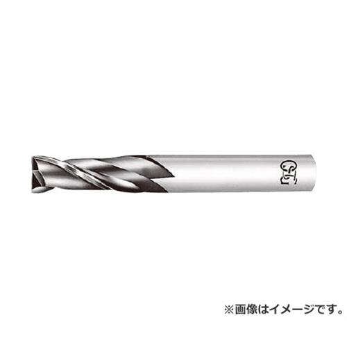 OSG 超硬エンドミル MGEDN10 [r20][s9-030]｜ミナトワークス 14,242円