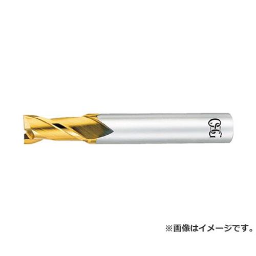 OSG ハイスエンドミル TIN 2刃ショート 17 EXTINEDS17 [r20][s9-830]