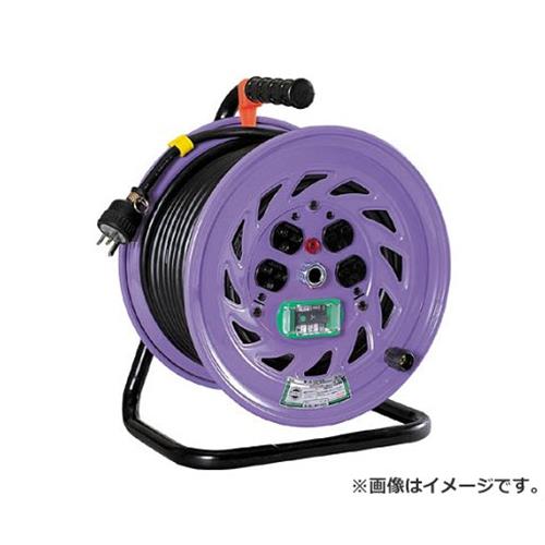 日動 電工ドラム 単相200Vドラム アース漏電しゃ断器付 30m NFEB23015A [r20][s9-031]｜ミナトワークス 25,404円