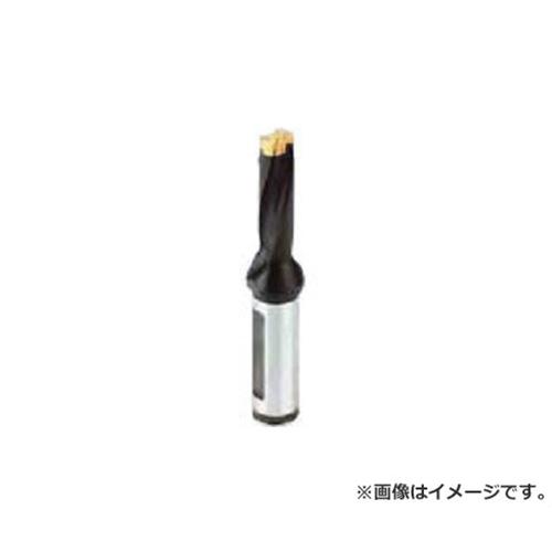イスカル カムせん孔機用保持者 DCM21006325A3D [r20][s9-031] その他-切削・研削工具用アクセサリー