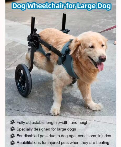 大型犬用車いす うしろ足知覚麻痺・移し替える助けること用 ウォーキング手押し車 ラブラドール ジャーマンシェパード ロットワイラーなど大型犬 知覚麻痺愛玩動物スクータ 犬用後脚車輪 大型犬用車輪 拷問台付き添い人ウォーカー 犬用モビリティウォーカー 人工犬用脚 オフロード手押し車 愛玩動物用車椅子