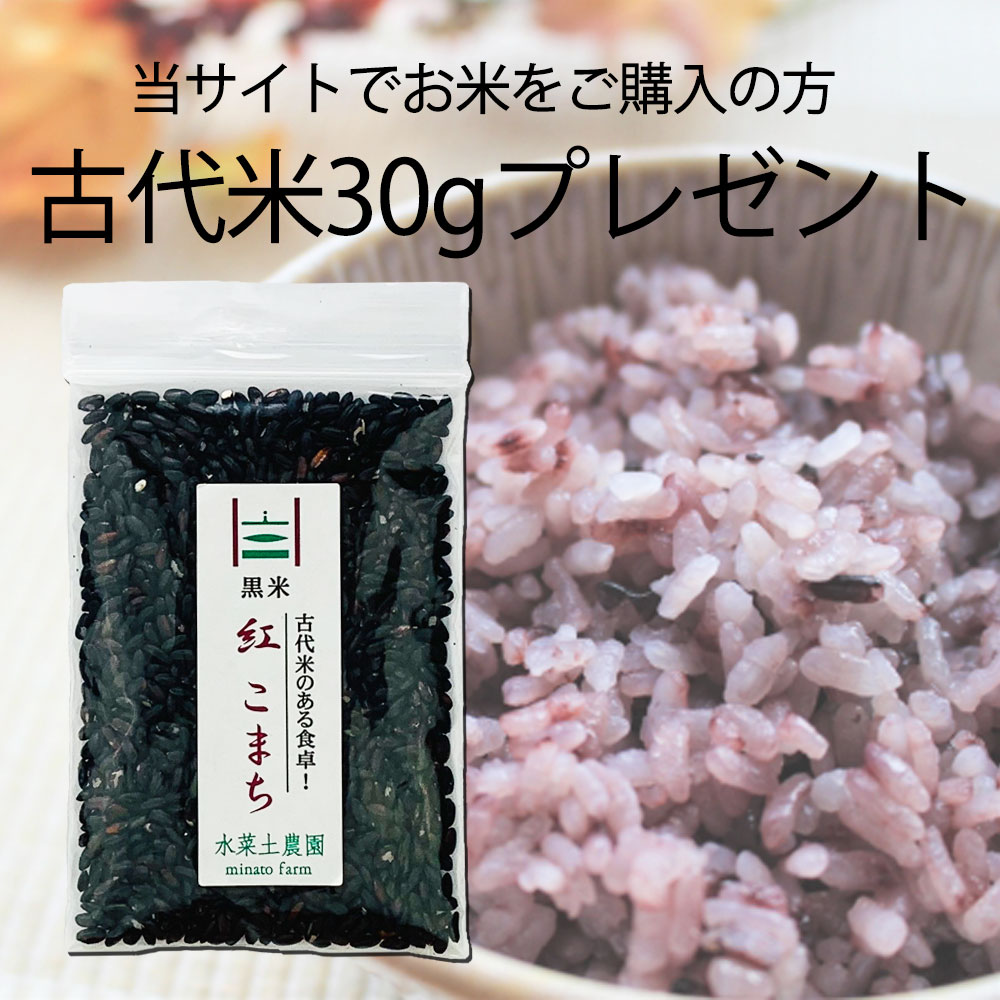 ずっと気になってた 新潟県産 こしひかり 精米30kg 5kg×6袋 令和3年産 fucoa.cl