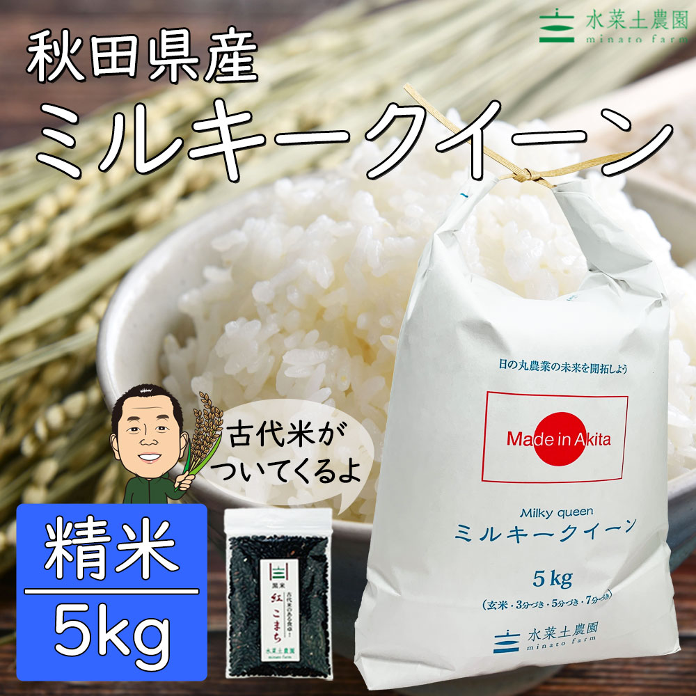 秋田県産あきたこまち 5kg 令和3年産 北海道産ななつぼし 最大64％オフ！ 北海道産ななつぼし