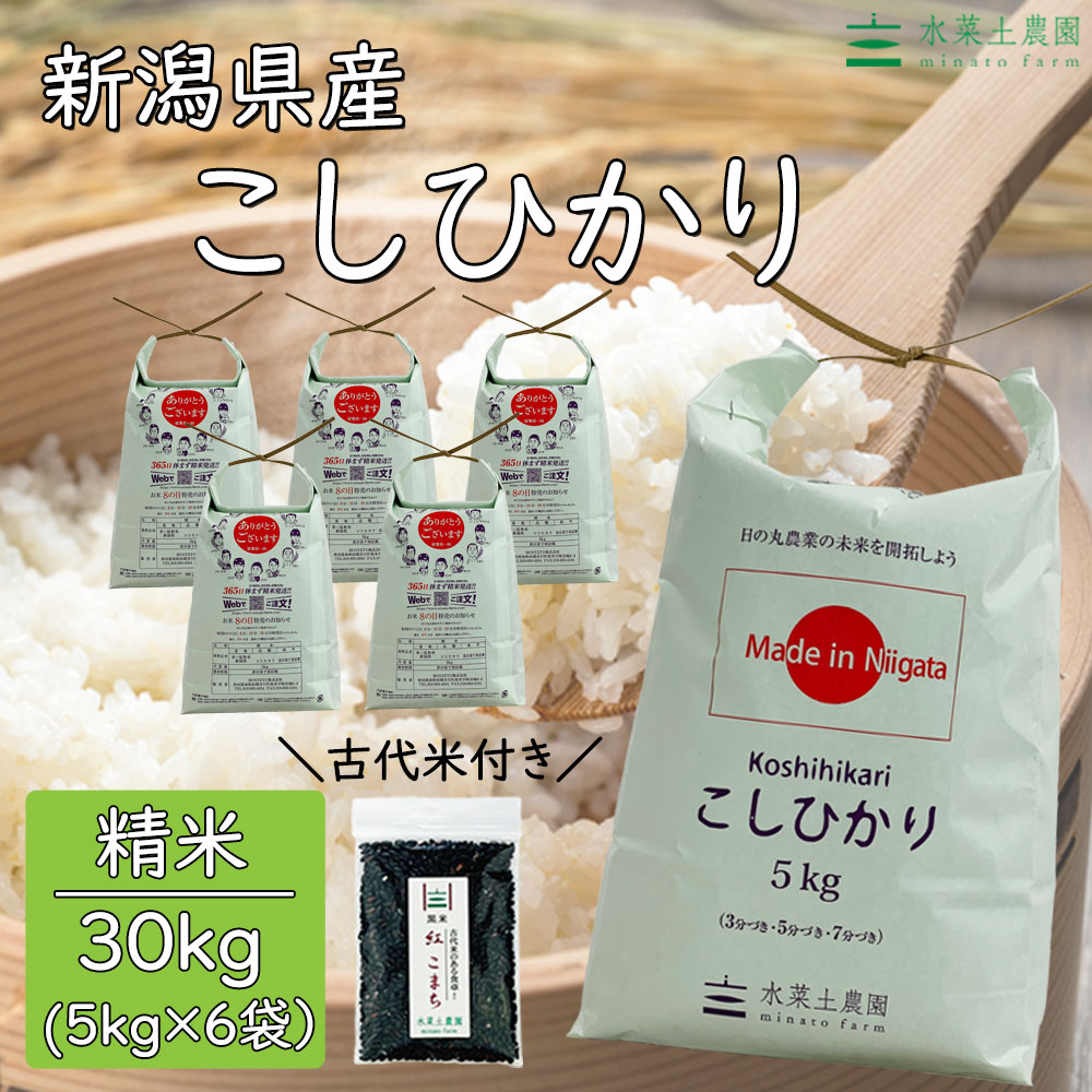 ずっと気になってた 新潟県産 こしひかり 精米30kg 5kg×6袋 令和3年産 fucoa.cl