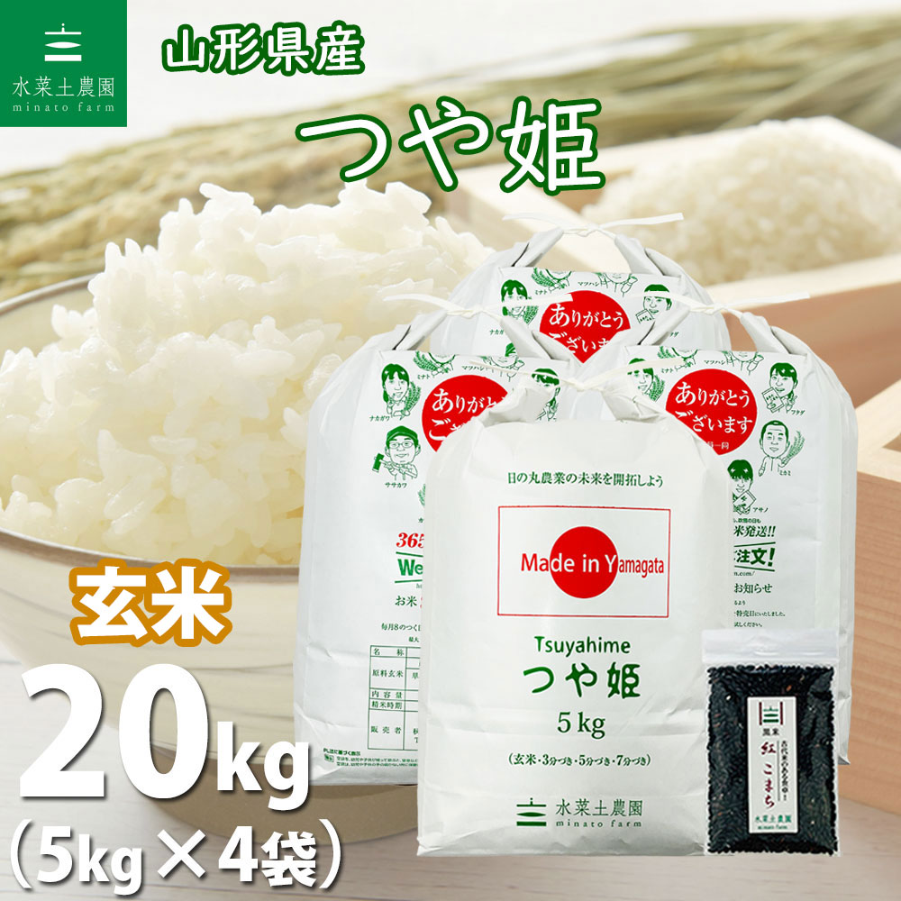 81%OFF!】 無洗米 つや姫 20kg 5kg×4袋 宮城県産 令和4年産