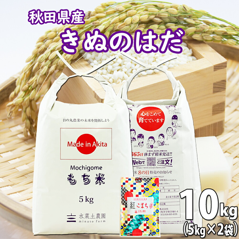 秋田県産 農家直送 きぬのはだ もち米 精米 10kg（5kg×2袋） 令和6年産 古代米お試し袋付き