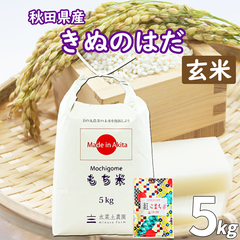 秋田県産 農家直送 きぬのはだ もち米 玄米 5kg 令和6年産 /古代米お試し袋付き