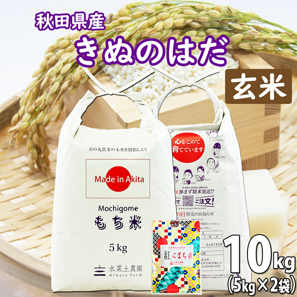 秋田県産 農家直送 きぬのはだ もち米 玄米 10kg（5kg×2袋） 令和6年産 古代米お試し袋付き