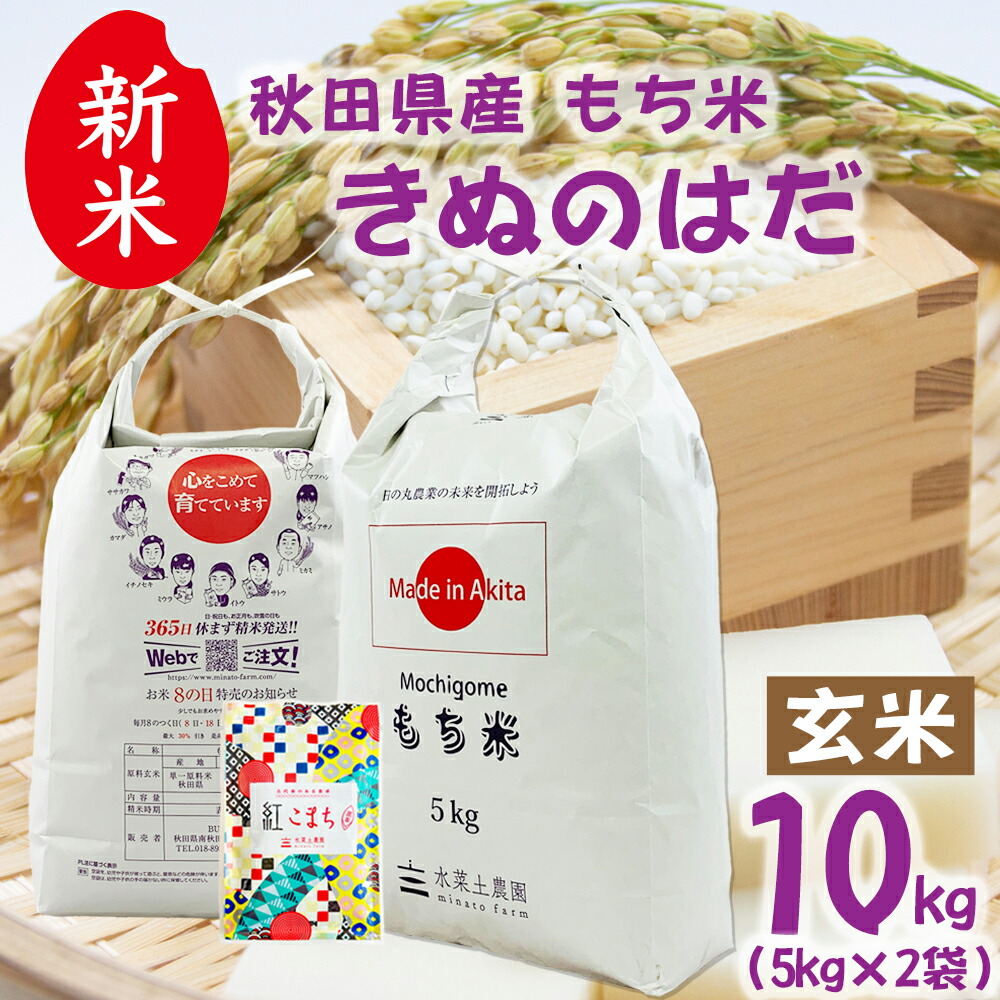 モチ玄米10kg岩手県奥州市前沢産ヒメノモチ令和6年産新米