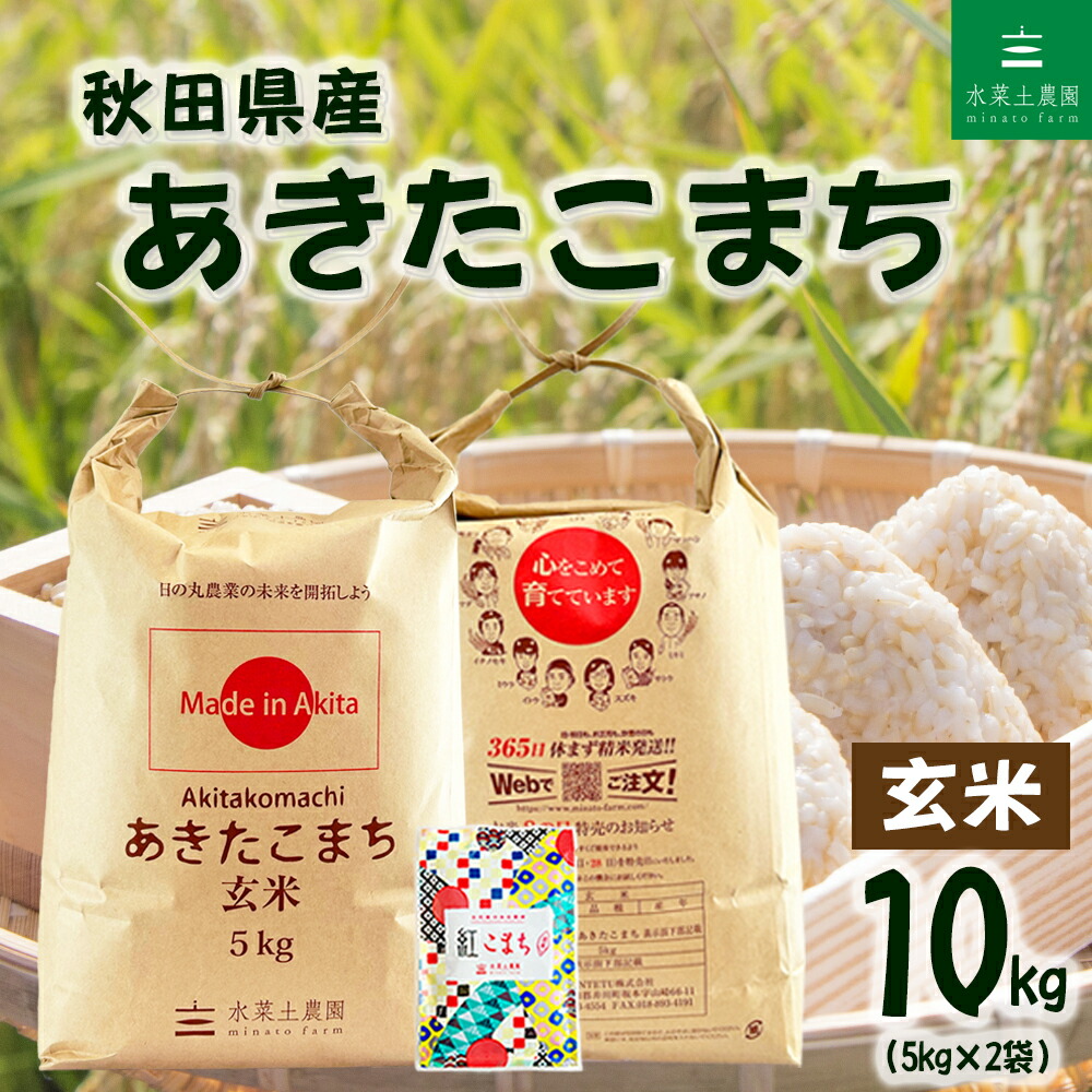 あきたこまち 玄米 10kg 令和6年度産 令和7年産》 米 あきたこまち 