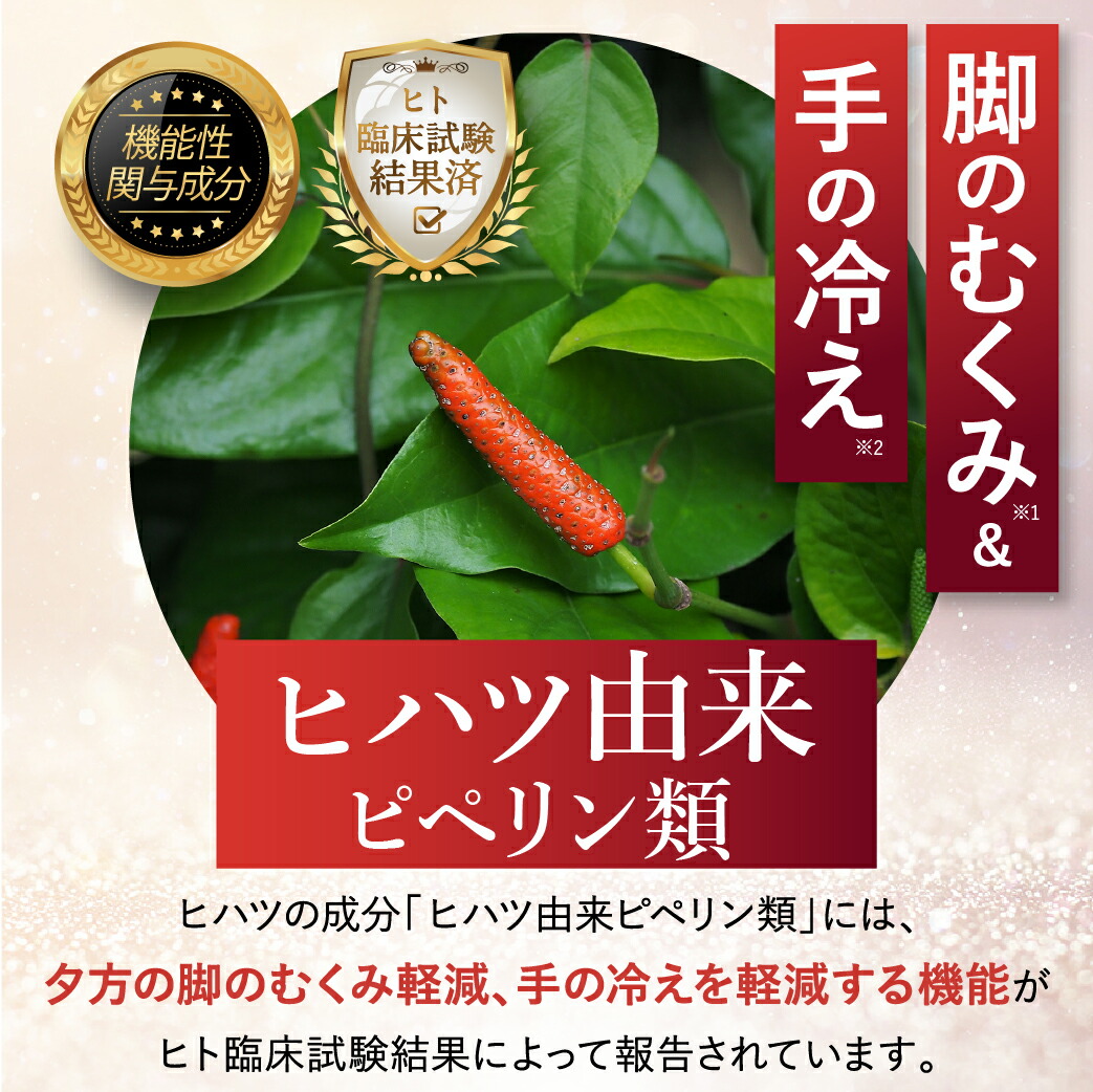 詰替え メグレア 45粒15日分×2袋