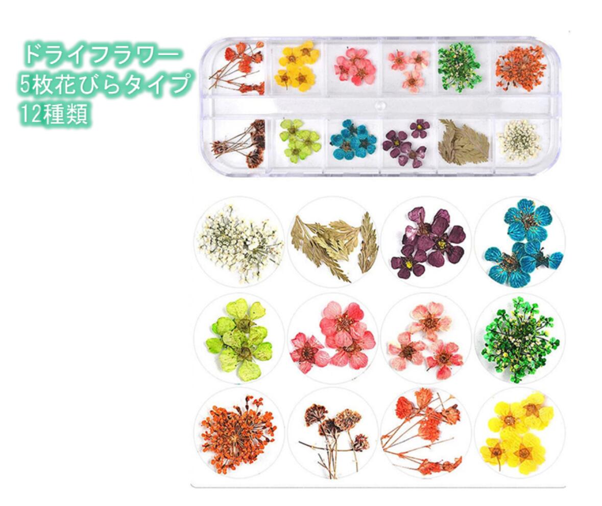 楽天市場 ドライフラワー 48種類 4ボックス セット 押し花 パーツ ネイル ハーバリウム レジン 素材 花材 かすみ草 デコレーション 送料無料 Mmk O71 Mind1 マインド ワン