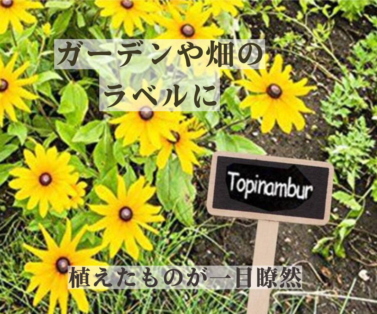 楽天市場 園芸用 木製 T型ラベル 40本入 ラベル部分 6 1 3 1cm 立型 ミニ 黒板 フラワーラベル 植物ラベル 花 名札 ガーデニング 送料無料 Mmk R16 Mind1 マインド ワン