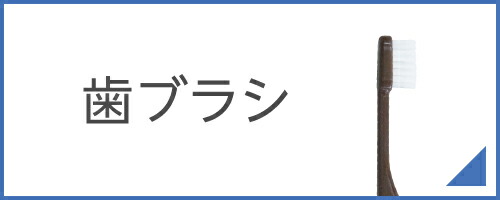 楽天市場】【1600本】 歯ブラシ 使い捨て キシリトール配合 業務用
