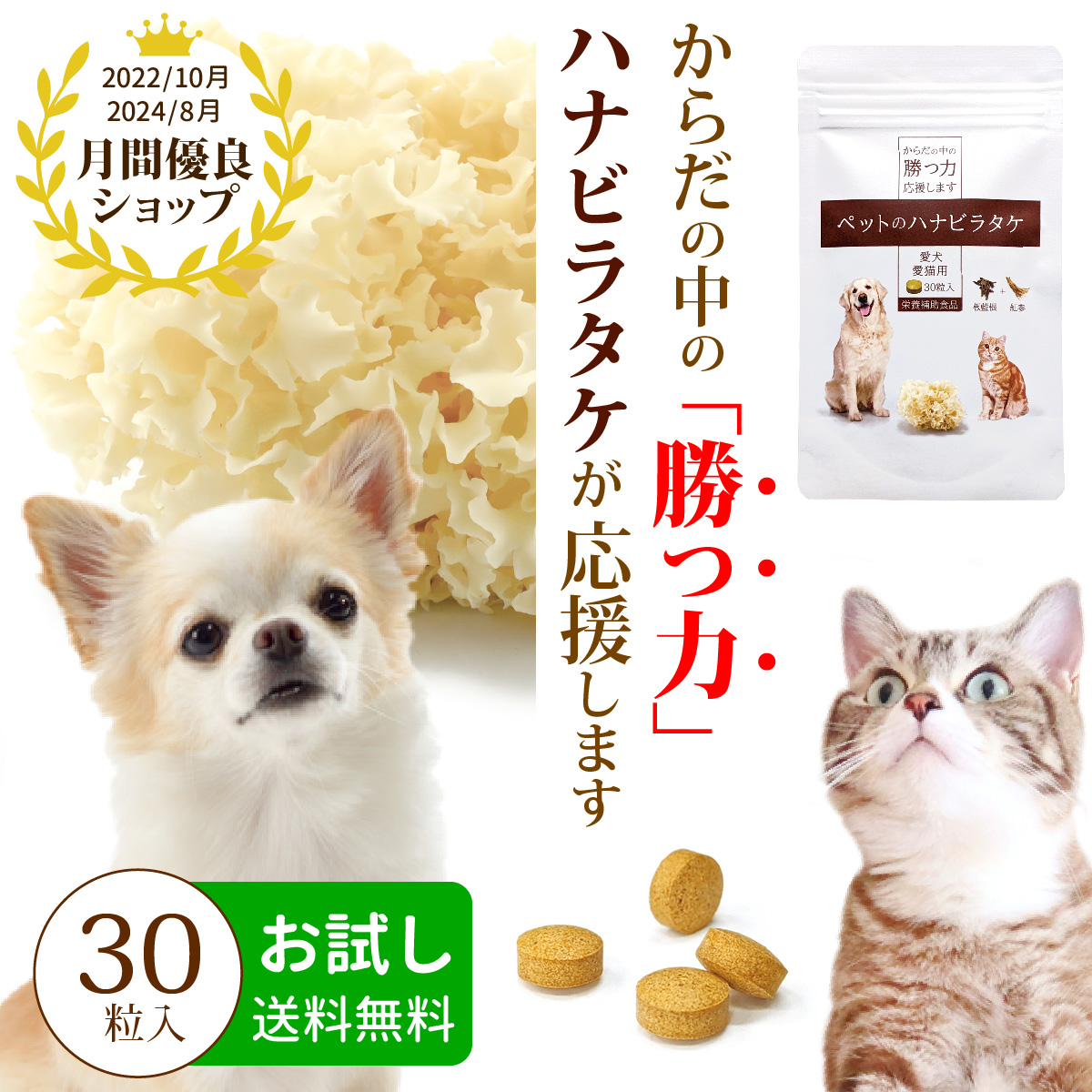 楽天市場】【お試し】プロバイオミックス 7包/初回限定 犬 猫 ドッグフード ドックフード 高齢犬 サプリメント プロバイオ プロバイオティクス  体質改善 腸内 体臭 口臭 便臭 皮膚トラブル カイカイ アレルギー アトピー 国産 日本製 【メール便】※1世帯1回限り1個まで ...