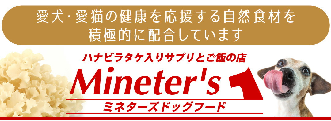 �ߥͥ������ɥå��ա���