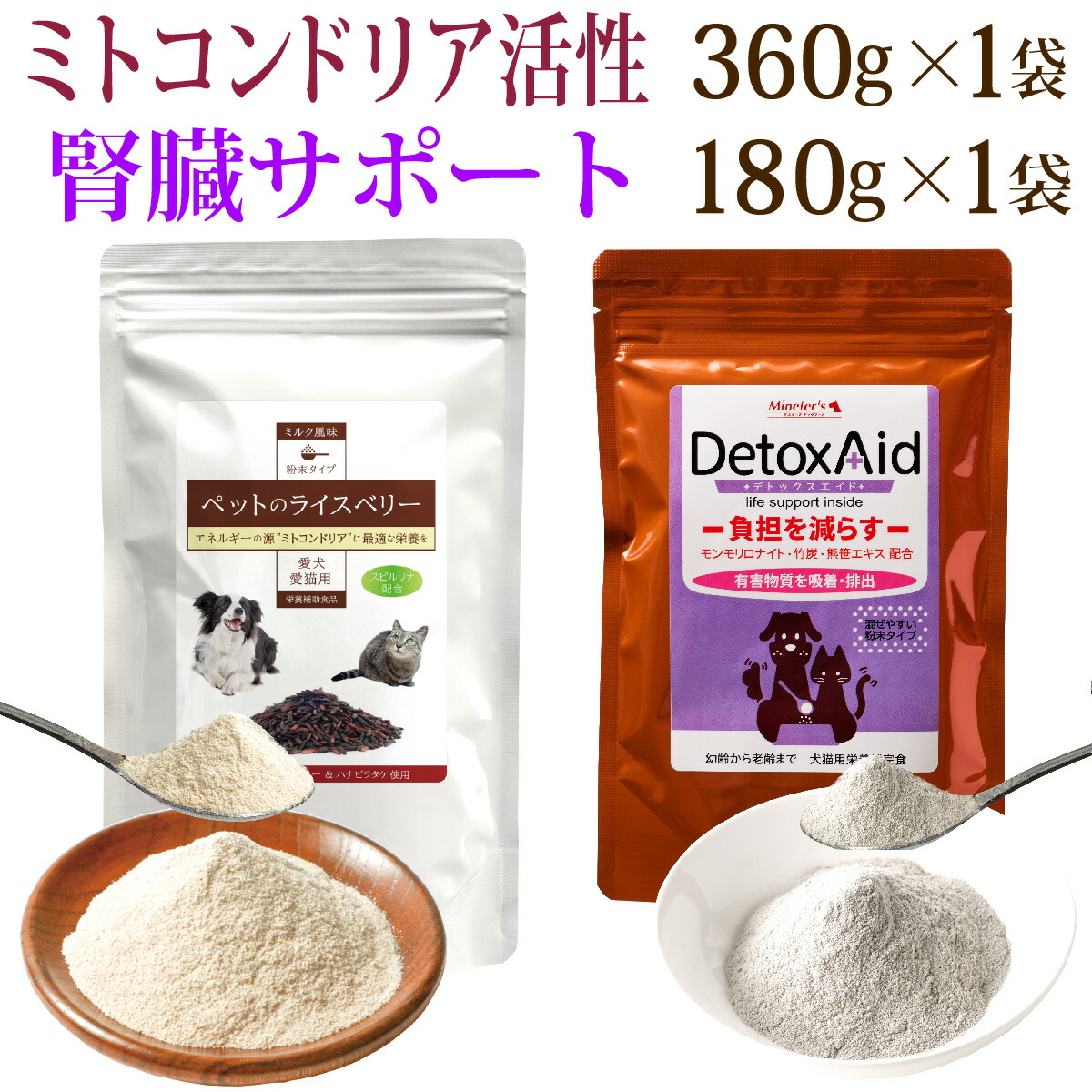 百貨店大売り出し執り行なう中！