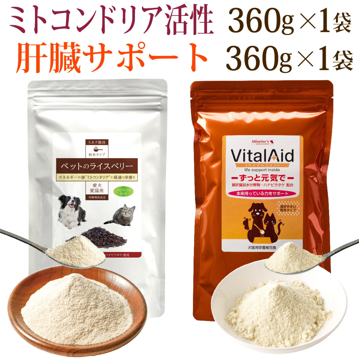 百貨店大売り出し執り行なう中！