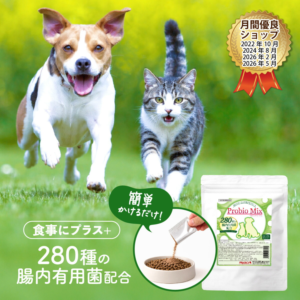 「愛玩動物の歯みがきジェル」サンプルプレゼントキャンペーン