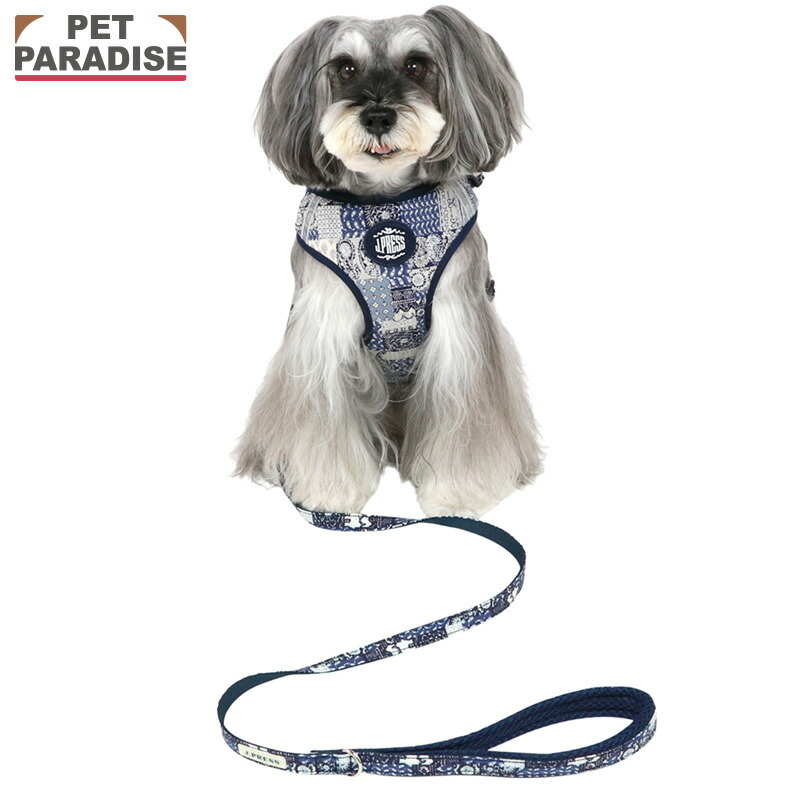 【ペットパラダイス公式】 J.PRESS 犬 ハーネス リード ペイズリー ハーネス＆リード 小型犬 | ネイビー 反射 安全 安心 事故防止 おでかけ お出かけ お散歩 おさんぽ おしゃれ かわいい