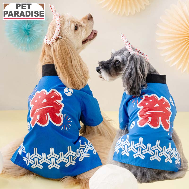 【ペットパラダイス公式】 犬 服 夏 ねじり鉢巻き付 法被 小型犬 中型犬 大型犬 | ブルー 衣装 和服 コスチューム かっこいい ペット イベント ドッグウェア 夏祭り お祭り グッズ 猫 はっぴ ハッピ 半被 夏
