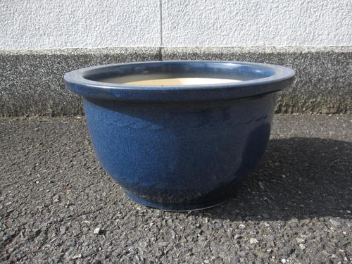 楽天市場】送料無料【信楽植木鉢】大型生子輪型信楽焼植木鉢20号