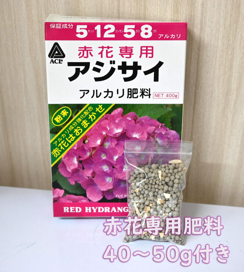 74 以上節約 てまりてまりアジサイ剪定後のお届け 紫陽花 肥料付き 育てる紫陽花 テマリテマリ ピンク 剪定した状態でのお届けになります 八重咲き てまりてまり あじさい Whitesforracialequity Org