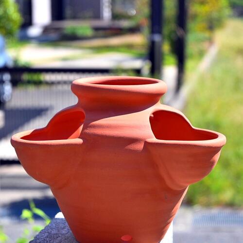 楽天市場】ストロベリーポットL 素焼き（テラコッタ）大鉢 : 千草園芸