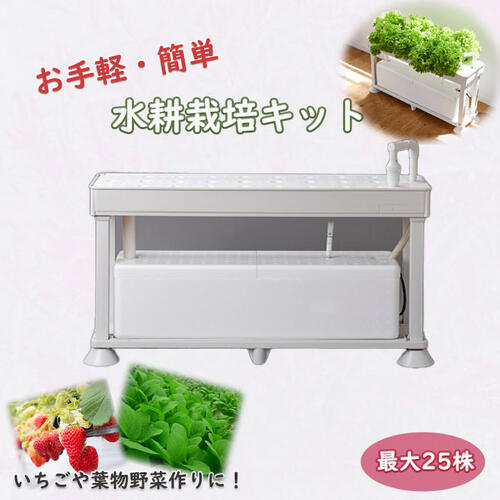 最短またの日送りとどけるお買い出しマラソン継続期間中尖んがり2倍水耕作りだす一揃いの道具身寄り家庭菜園立ちはだかるすいこうさいばい