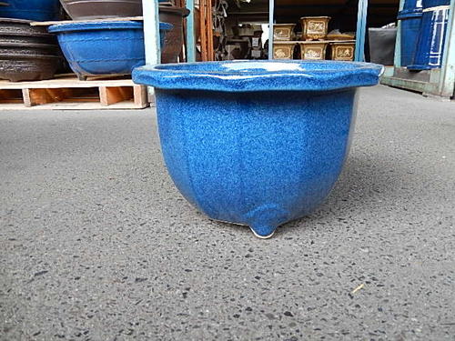 楽天市場】送料無料【信楽植木鉢】大型生子輪型信楽焼植木鉢20号