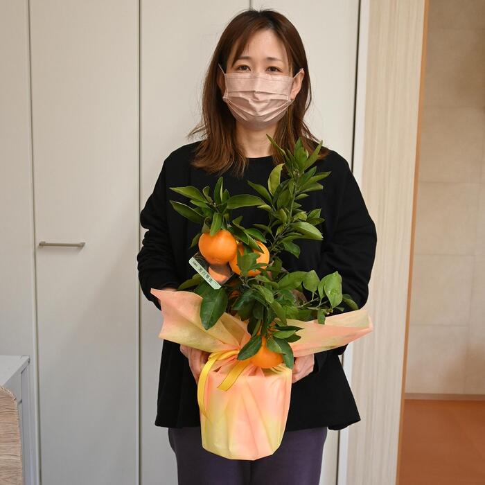 果樹園みかんの木の完熟みかん 3.5kg L9 | 佐賀県太良町