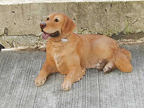 楽天市場 玄関でお出迎え吠えないし 人には決してかまないので 安心です オブジェ 犬置物置物です 置物です ワンちゃん 送料無料 園芸百貨店何でも揃うこぼんさい