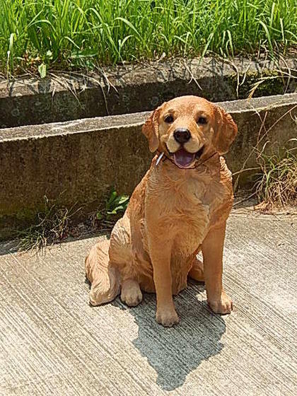 かわいい番犬に置物 レトリバーオブジェ 犬置物置物です 置物です ワンちゃん 送料無料 Relentlessvb Com