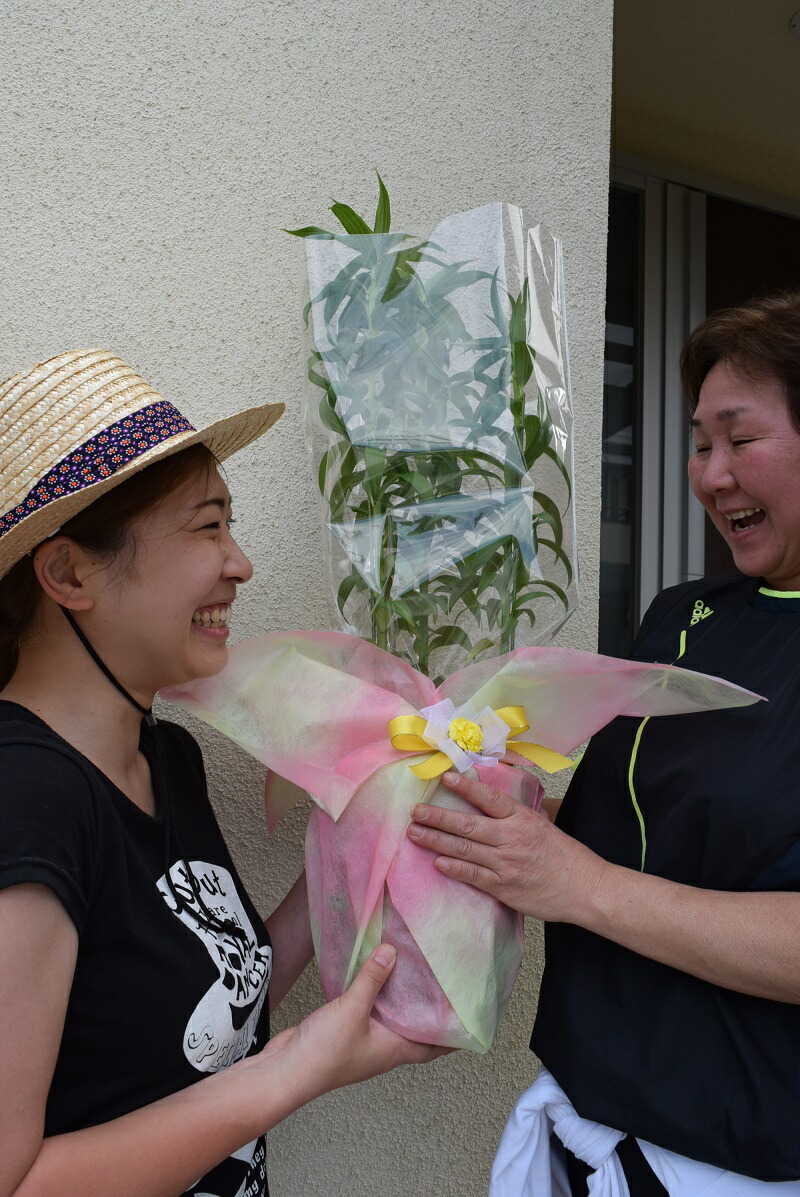 楽天市場 母の日ギフト年鉢花カサブランカ鉢植え蕾ですので育てる楽しみ 開花は5月末頃 園芸百貨店何でも揃うこぼんさい